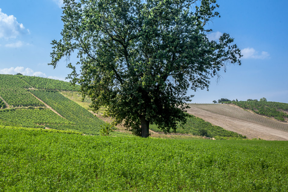 In un territorio antico