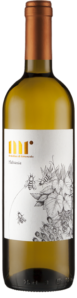 Malvasia